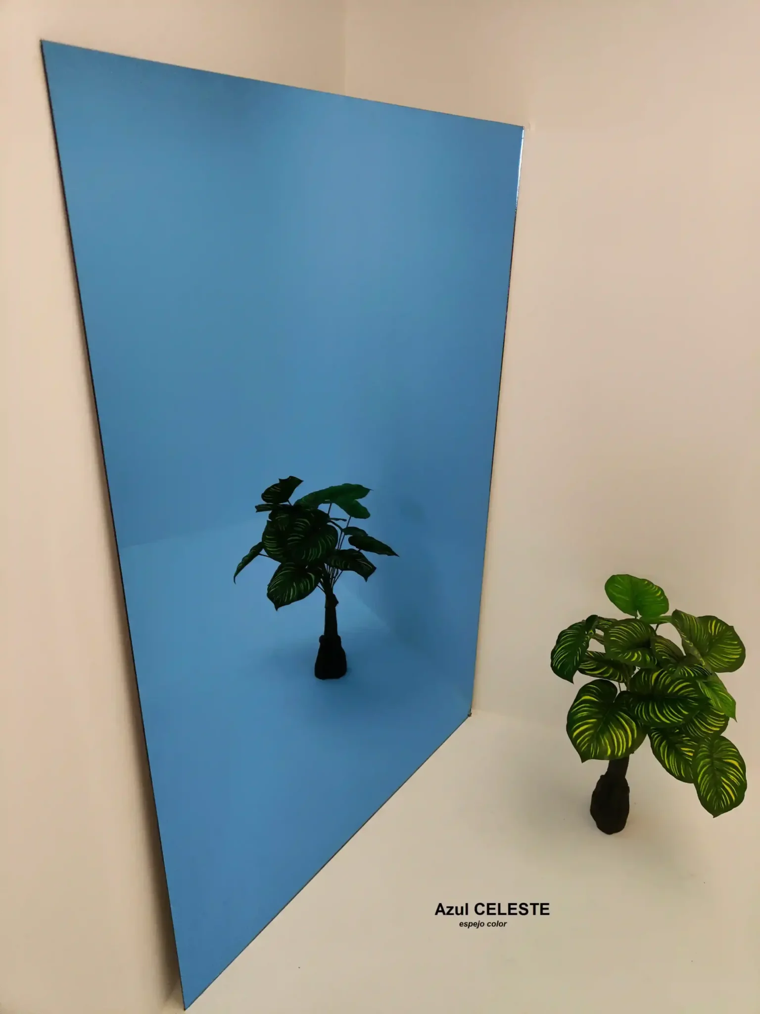 Espejos Para Decoradores de Interiores