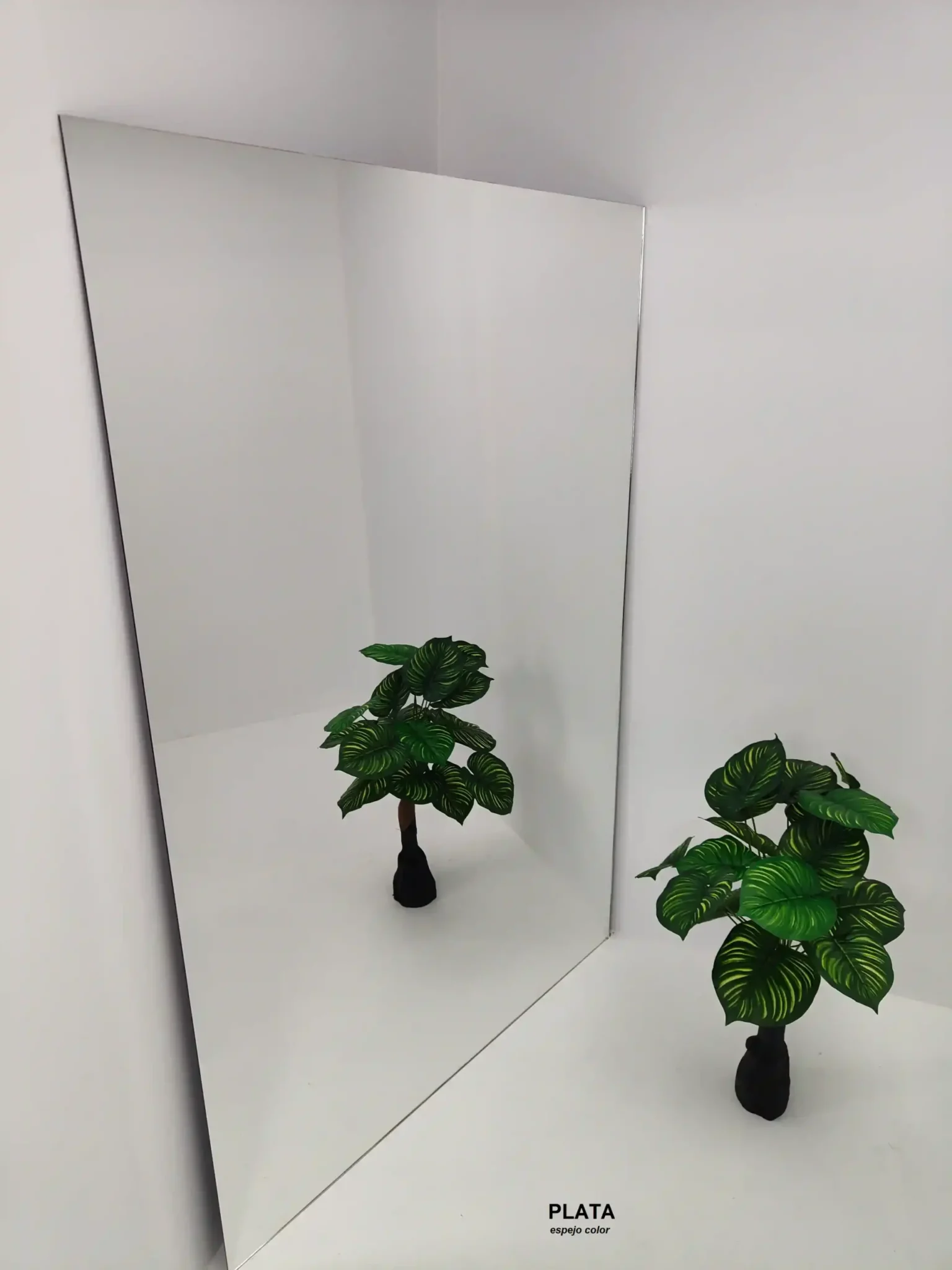 Espejos Para Decoradores de Interiores