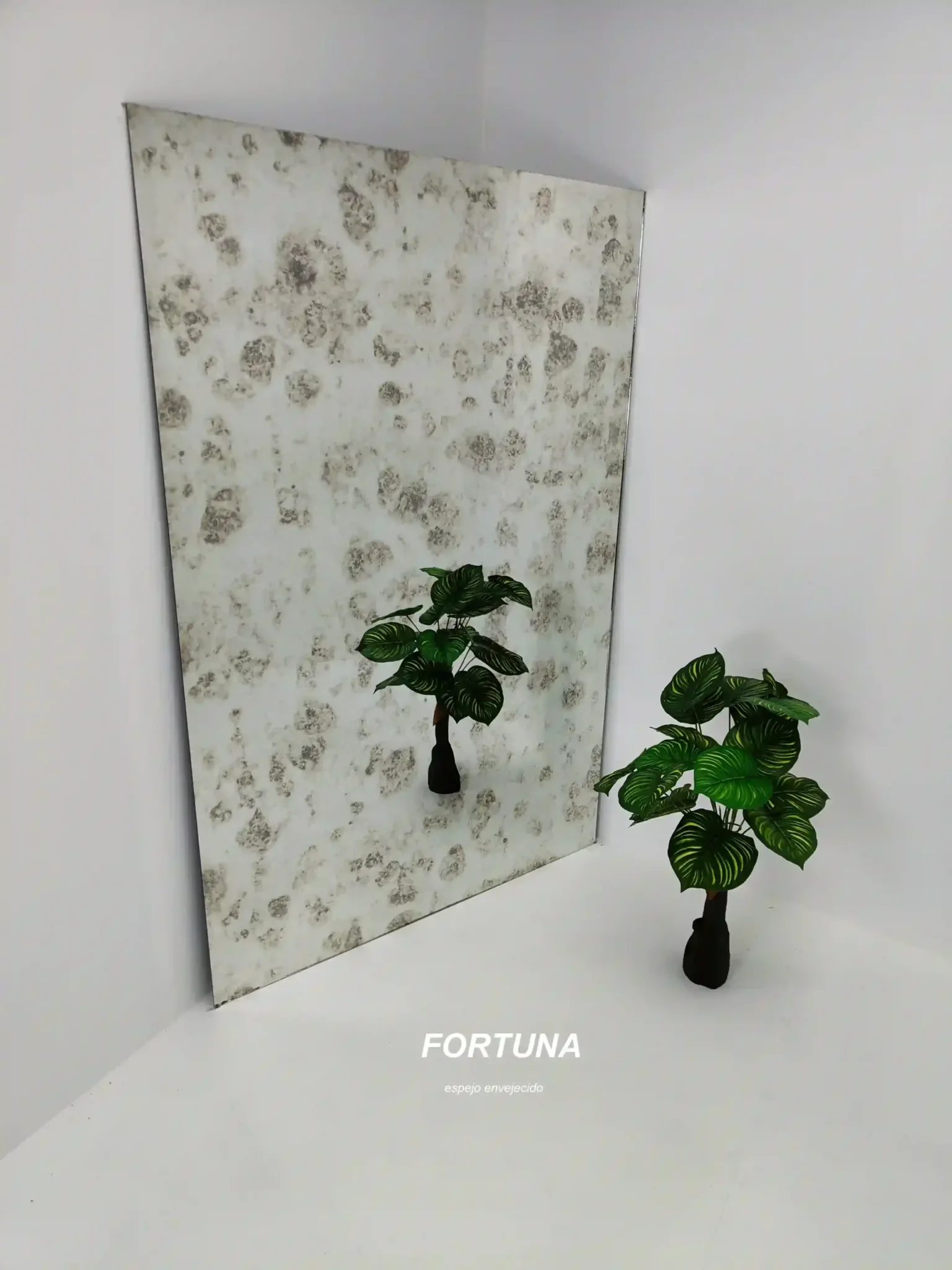 Espejos Para Decoradores de Interiores