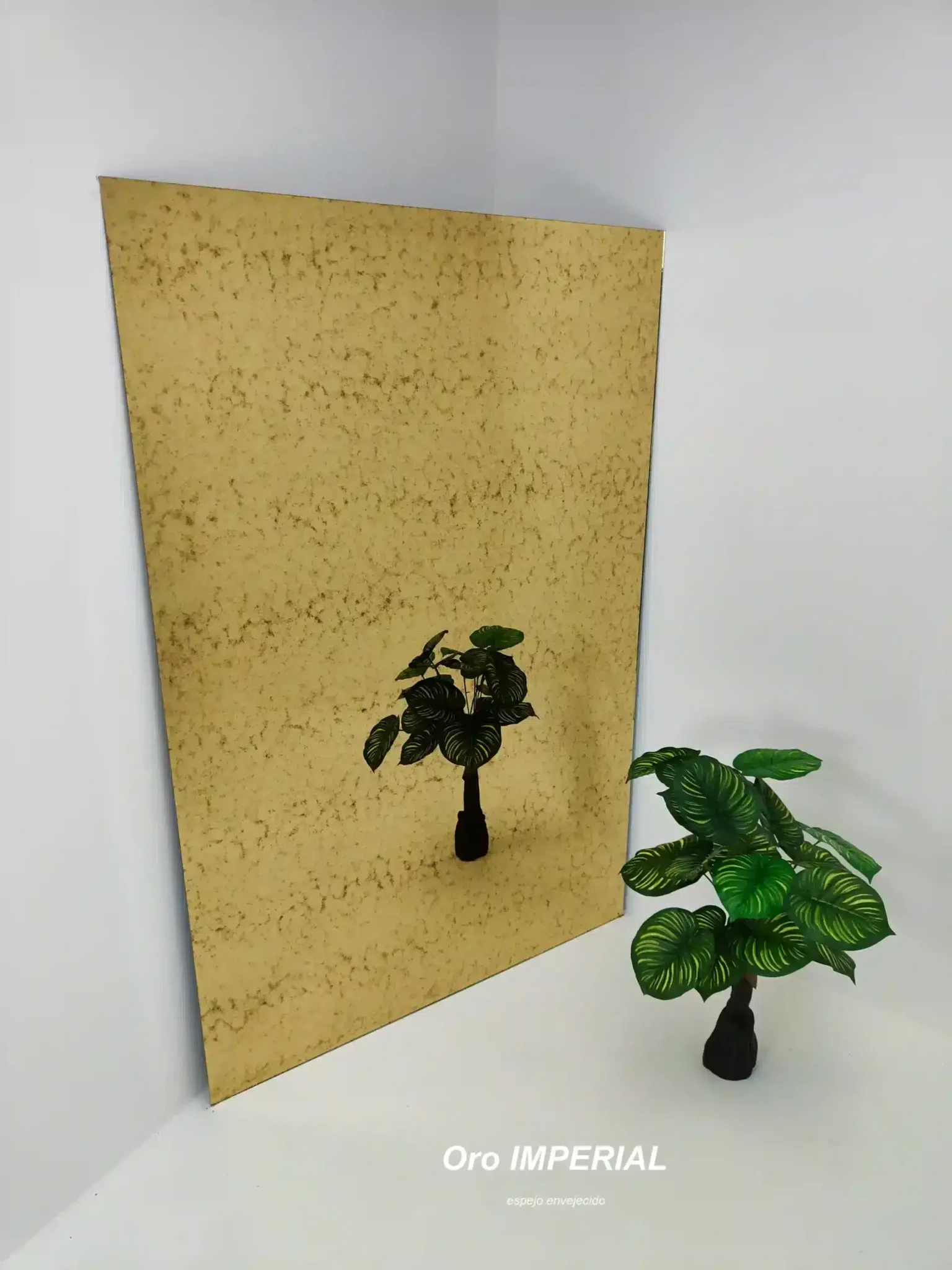 Espejos Para Decoradores de Interiores