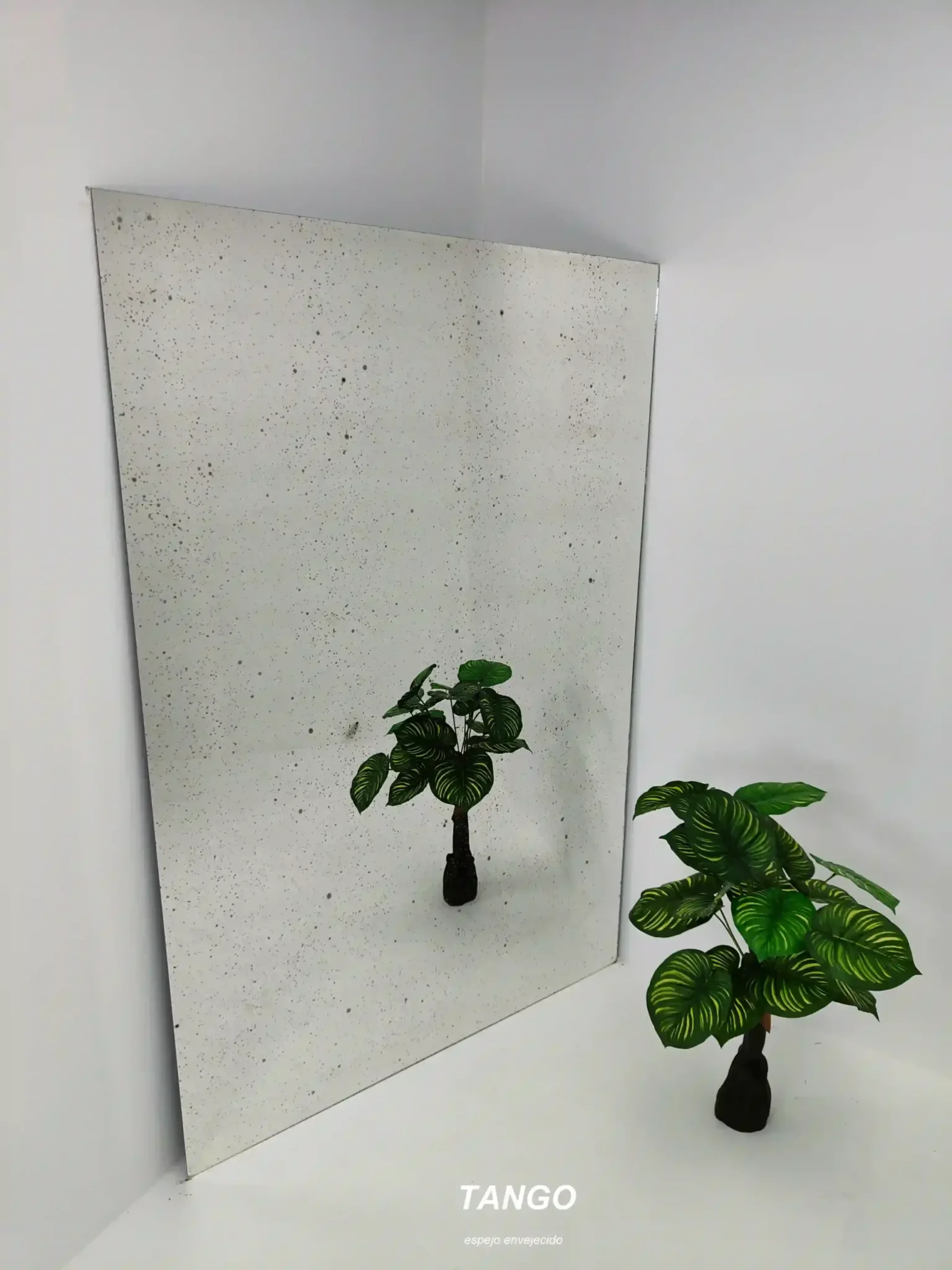 Espejos Para Decoradores de Interiores