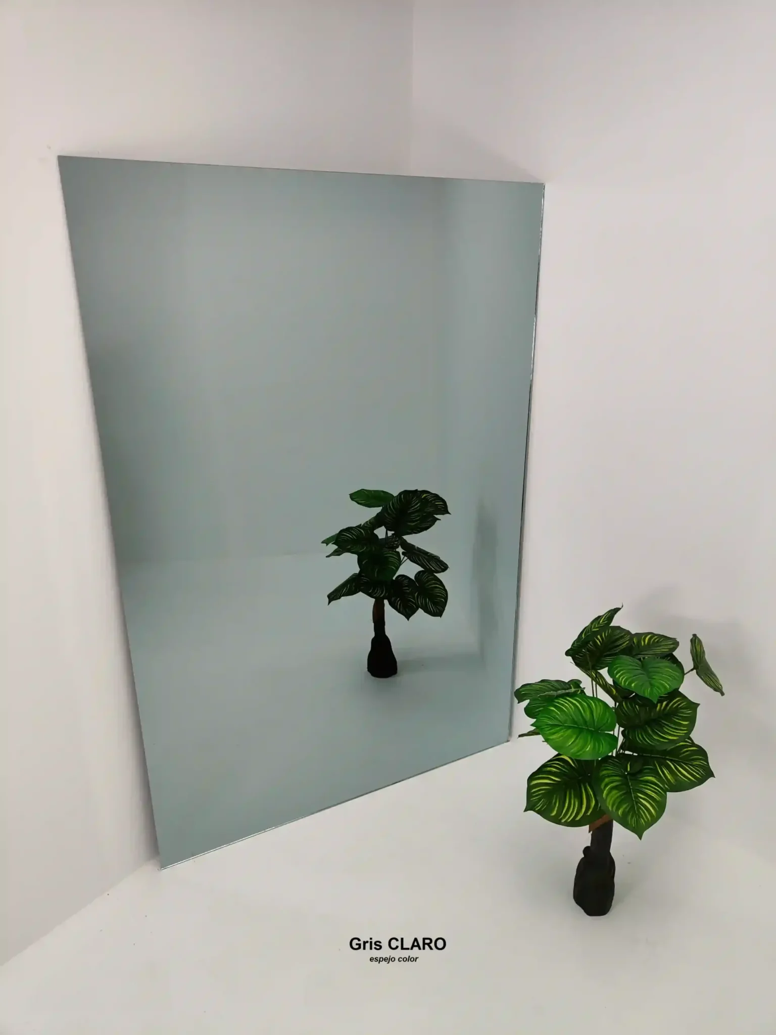 Espejos Para Decoradores de Interiores