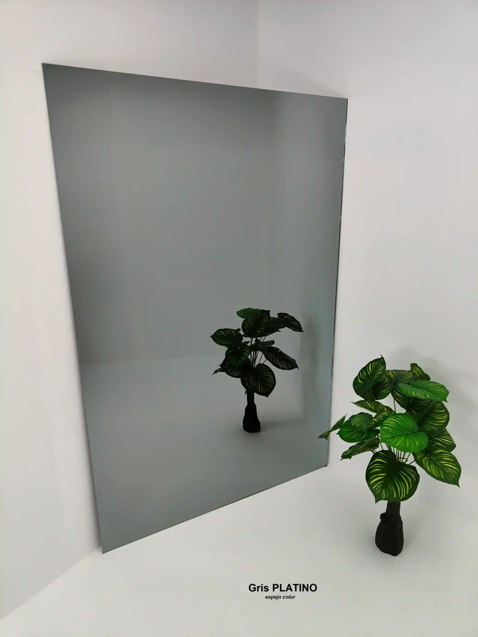 Espejos Para Decoradores de Interiores