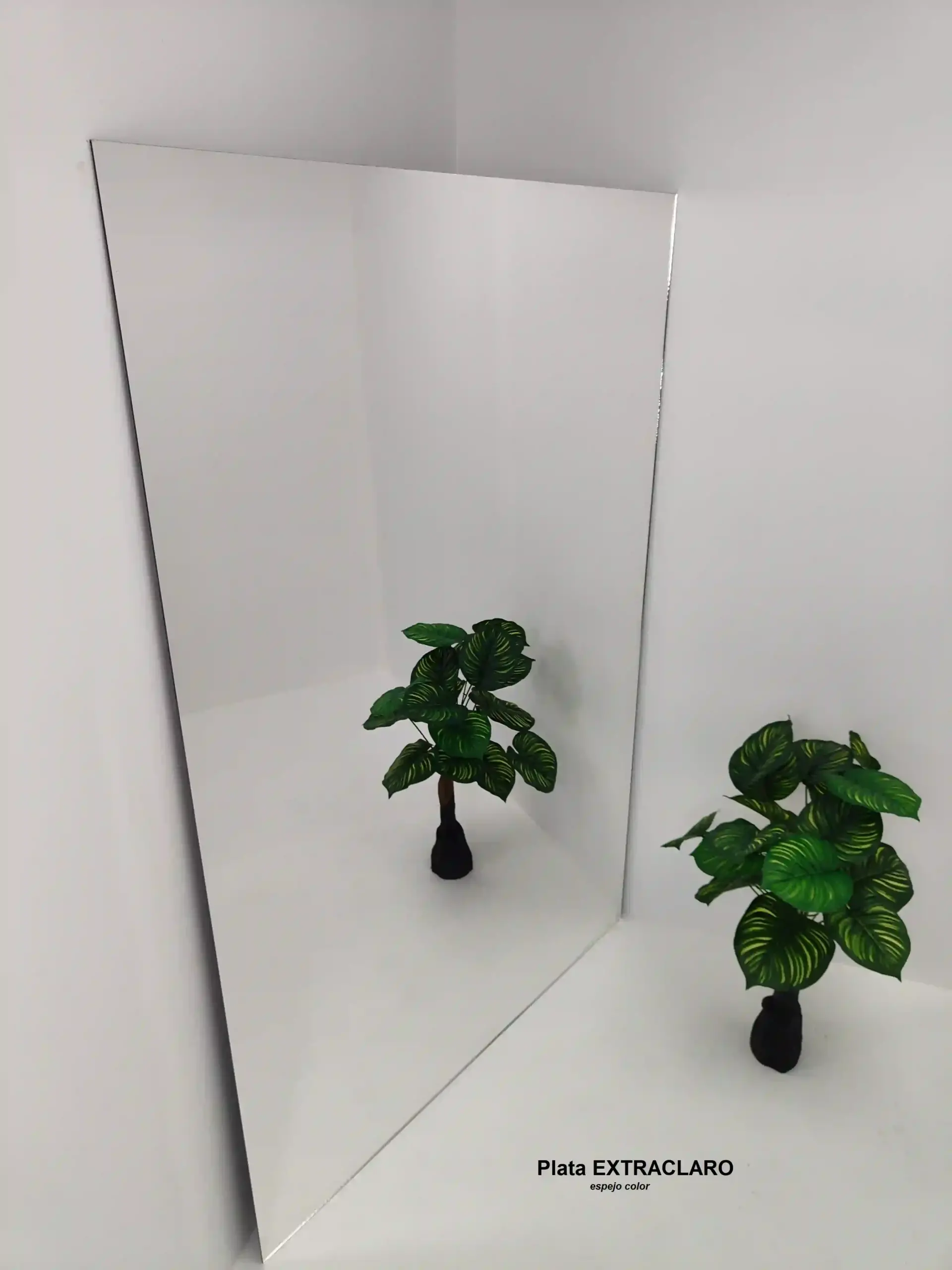 Espejos Para Decoradores de Interiores