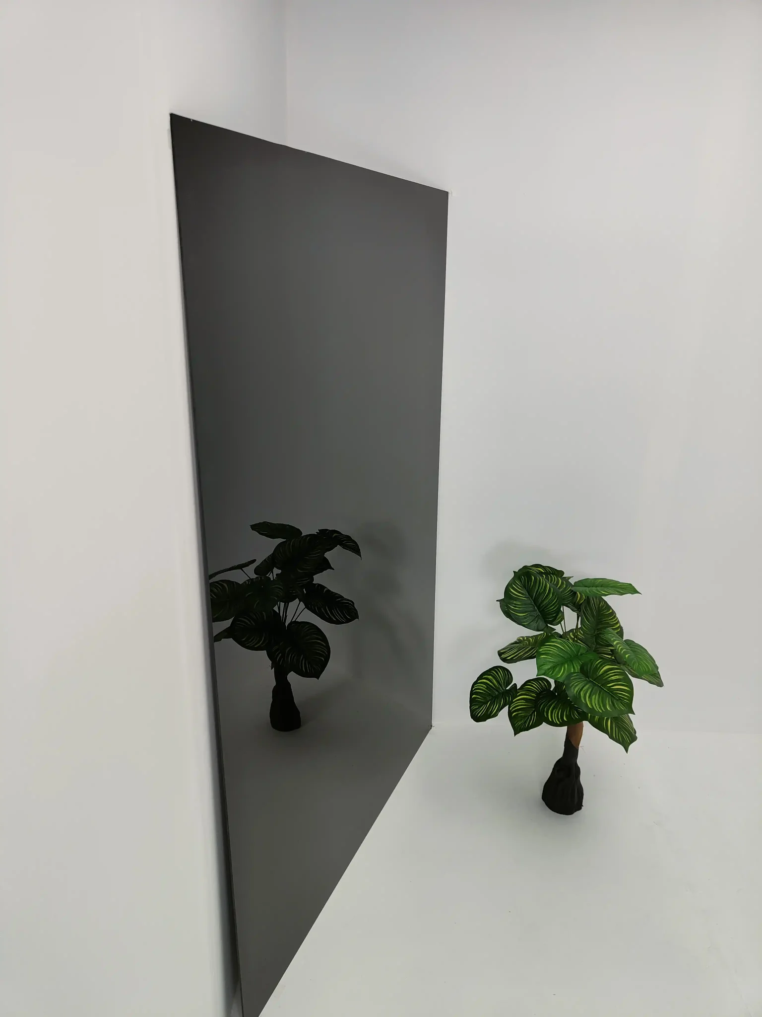 Pizarra Negra de Cristal